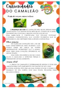 BOM DIA TODAS AS CORES - SD_page-0004