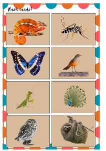 BOM DIA TODAS AS CORES - SD_page-0009